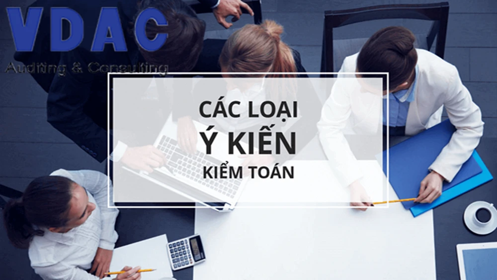 co-nhung-loai-y-kien-kiem-toan-nao-va-vi-du-thuc-te.png