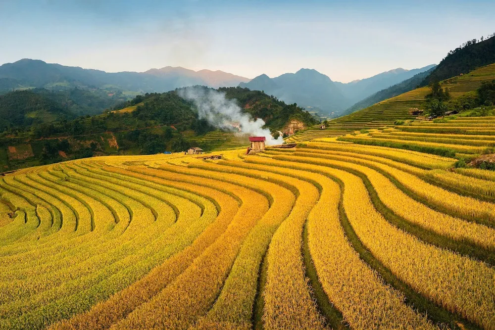 Những thửa ruộng bậc thang làm say đắm du khách từ khắp nơi trên thế giới. theo-chan-bao-hong-kong-trai-nghiem-van-hoa-doc-dao-giua-thien-nhien-hung-vi-cua-sa-pa-2.jpg