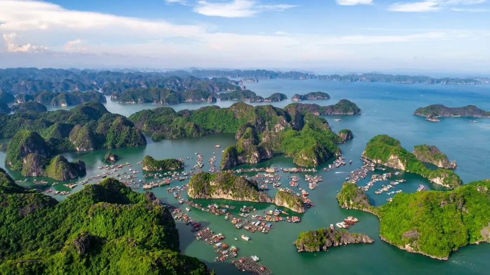 Cát Bà đặt mục tiêu trở thành đảo sinh thái, không phát thải. chuyen-gia-quoc-te-mach-nuoc-8-bi-quyet-dua-cat-ba-thanh-dao-sinh-thai-xanh-toan-dien-3.jpg