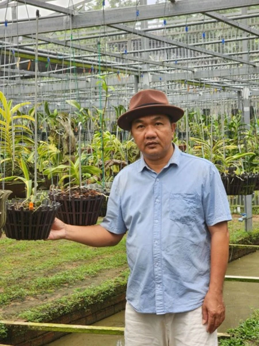 Vườn lan Tấn Sơn – Nơi gìn giữ vẻ đẹp hoa lan tại Bình Dương.jpg