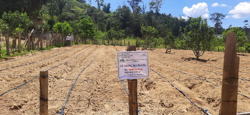 Bình Định đưa huyện An Lão thoát khỏi tình trạng huyện nghèo, đặc biệt khó khăn.jpg