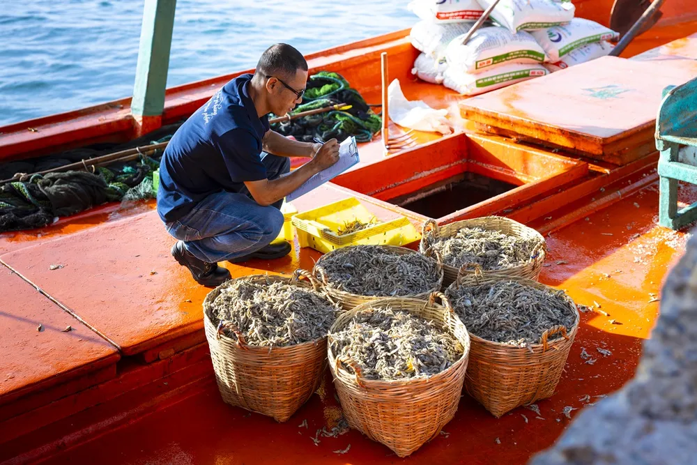 Chuyên viên kỹ thuật của Masan PQ kiểm tra chất lượng cá trước khi chuyển về nhà ủ chượp. Hành trình 18 năm 83 triệu lít nước mắm cốt từ Nhà máy Masan PQ.jpg