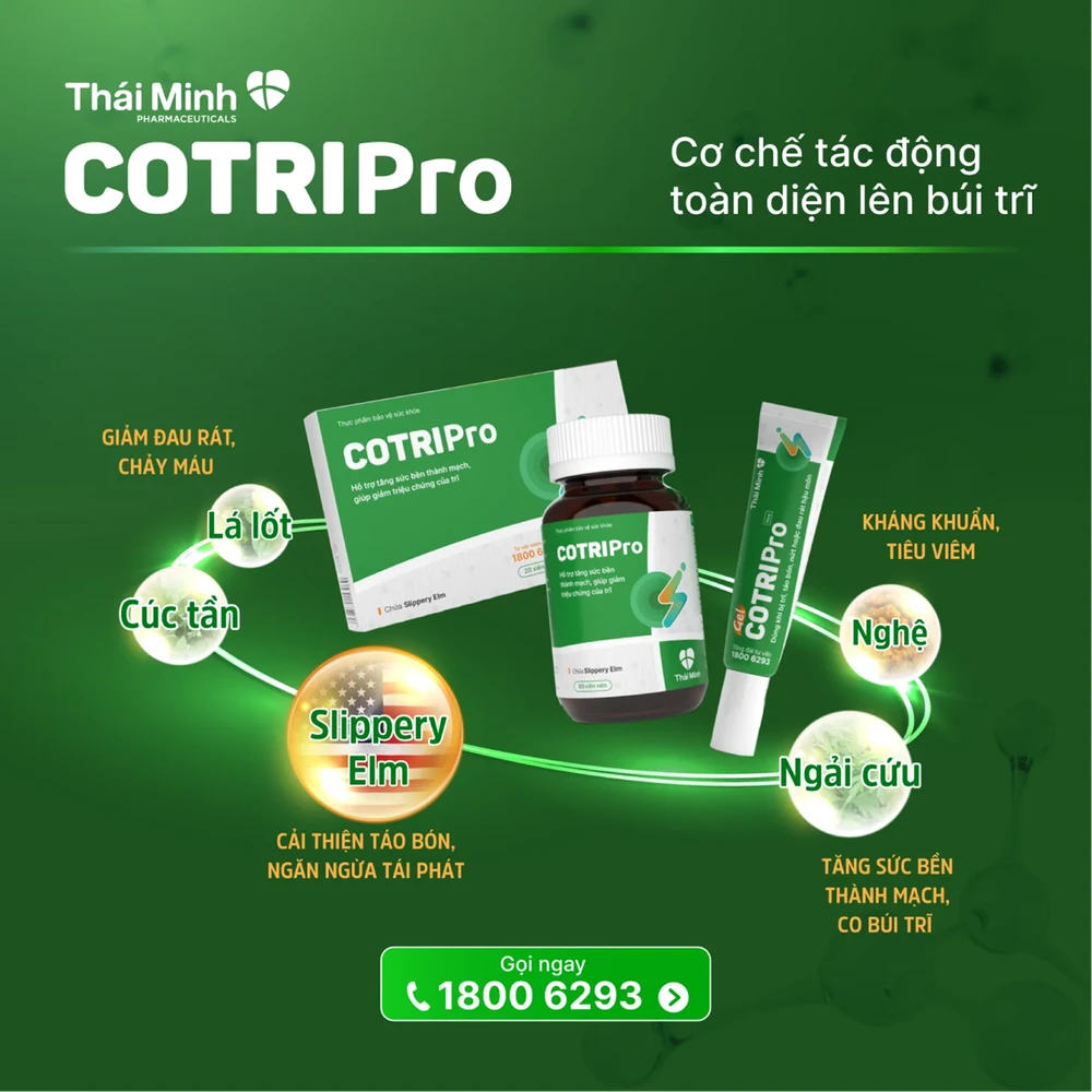 Lá lốt – Thảo dược dân gian hỗ trợ cải thiện bệnh trĩ.png