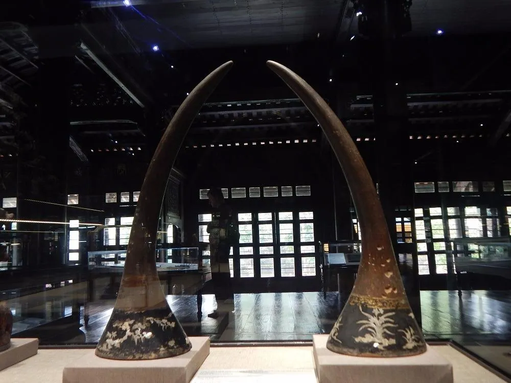 sừng tê giác ở Đàng Trong