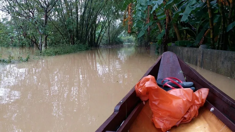 Lũ vẫn đang chia cắt vùng trũng Quảng Điền ảnh 3