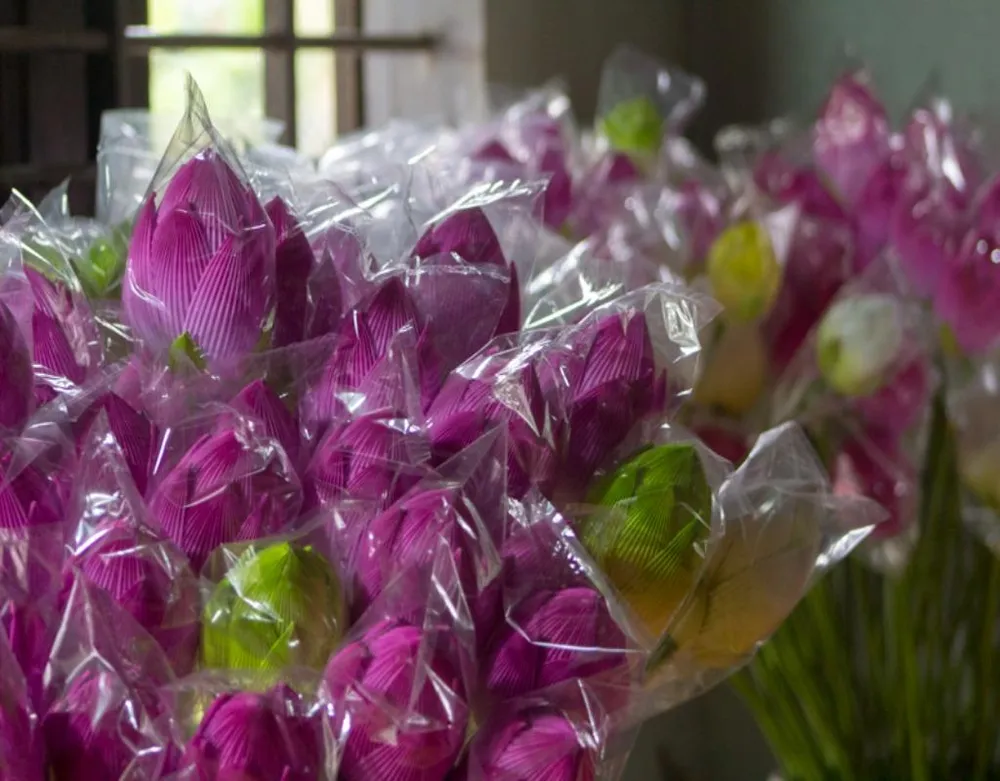 Hoa sen là mặt hàng được nhiều người dân và du khách chọn mua. 