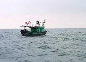 Tìm kiếm 2 ngư dân ngã xuống biển mất tích