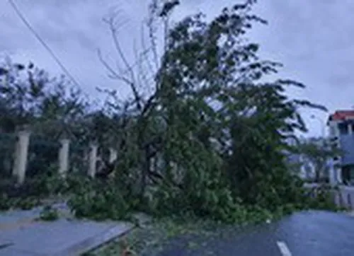 Bão số 13 hướng thẳng miền Trung, Đà Nẵng ra công điện ứng phó