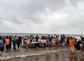 Xà lan đâm chìm tàu cá, 1 người bị thương ảnh 3 Tìm thấy 3 thi thể học sinh gặp nạn trên biển ở Thanh Hóa
