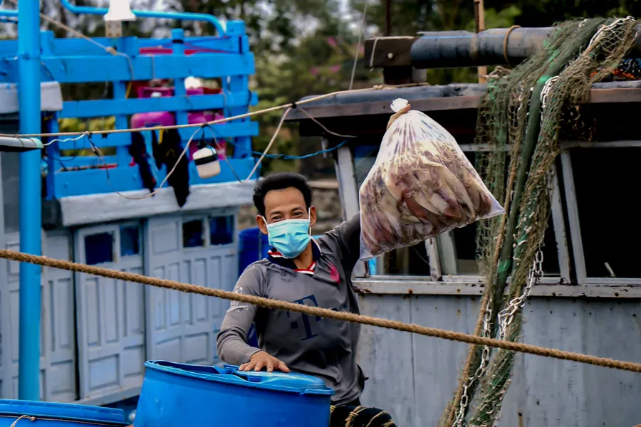 Chùm ảnh: Cảng cá lớn nhất Thừa Thiên - Huế hối hả trước bão số 5 ảnh 7 Chùm ảnh: Cảng cá lớn nhất Thừa Thiên - Huế hối hả trước bão số 5 ảnh 7