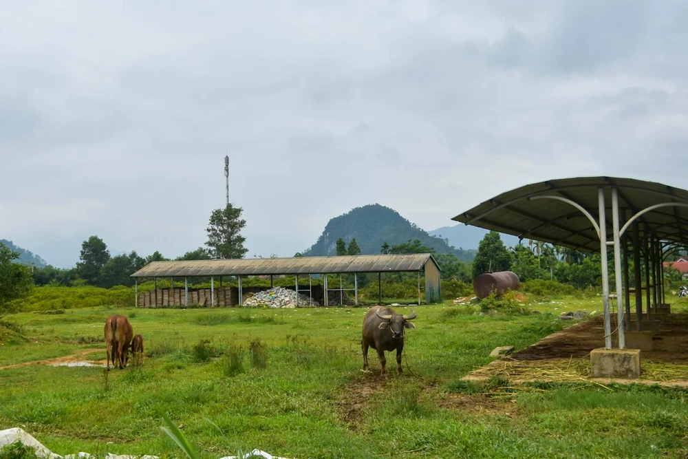Trong khu đất của dự án có một tòa nhà hành chính hai tầng khá hoàn thiện. Phía trước có cổng, chốt bảo vệ và hàng rào bằng bê tông, các phía còn lại được rào bằng thép gai. Bên trong dự án, người dân chăn nuôi trâu bò và một khu đất lớn được dùng để trồng cỏ. Ảnh: NGUYỄN DO