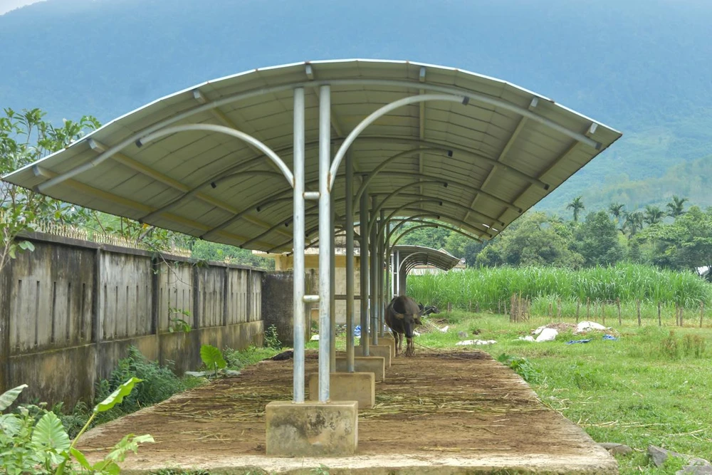 Ông Lê Hiến (ở xã Thượng Quảng) cho biết, dù bị thu hồi đất để thực hiện dự án nhưng ngày nhà máy khởi công nhiều người dân rất vui vì nghĩ sẽ có thêm công ăn việc làm trong tương lai. Ảnh: NGUYỄN DO