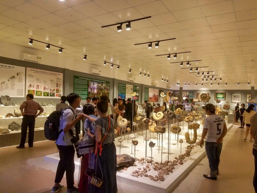 Khách tham quan sẽ được thưởng thức sự giao thoa đẹp đẽ của khoa học và nghệ thuật khi chiêm ngưỡng những tác phẩm hội họa đặc biệt khi đứng trước những mẫu vật hóa thạch có niên đại hàng trăm triệu năm.