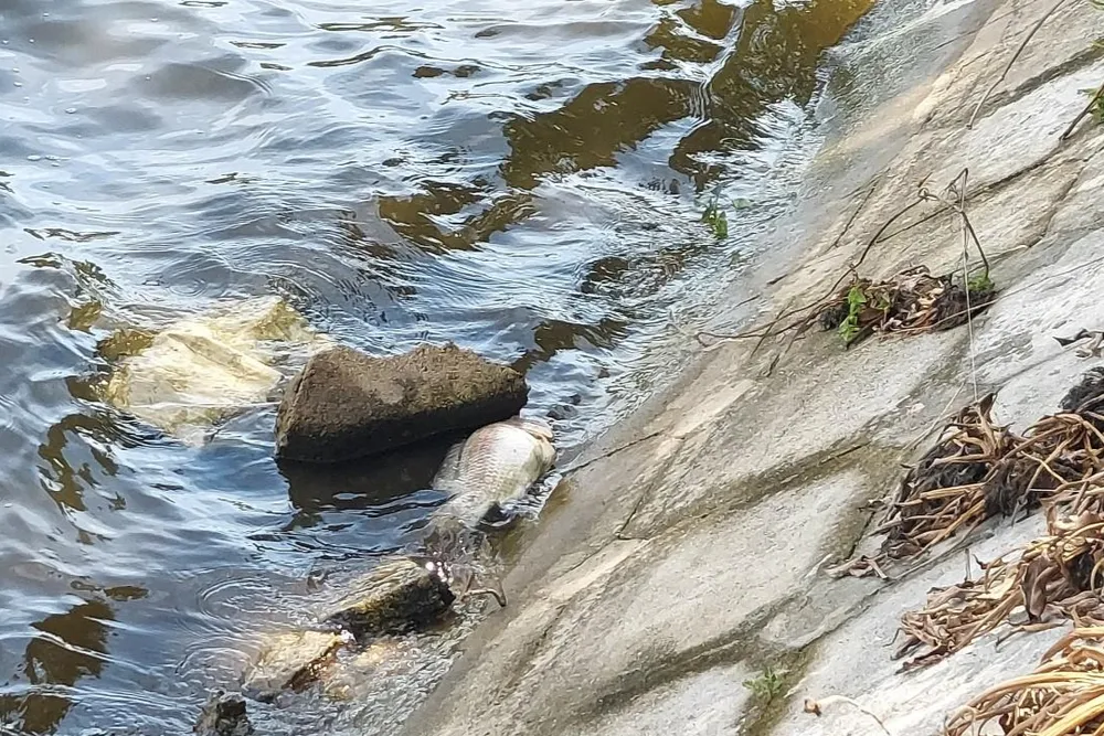 Hồ Nước Chè nằm ngay trung tâm huyện Hải Lăng. Ảnh:ND Hồ Nước Chè nằm ngay trung tâm huyện Hải Lăng. Ảnh:ND