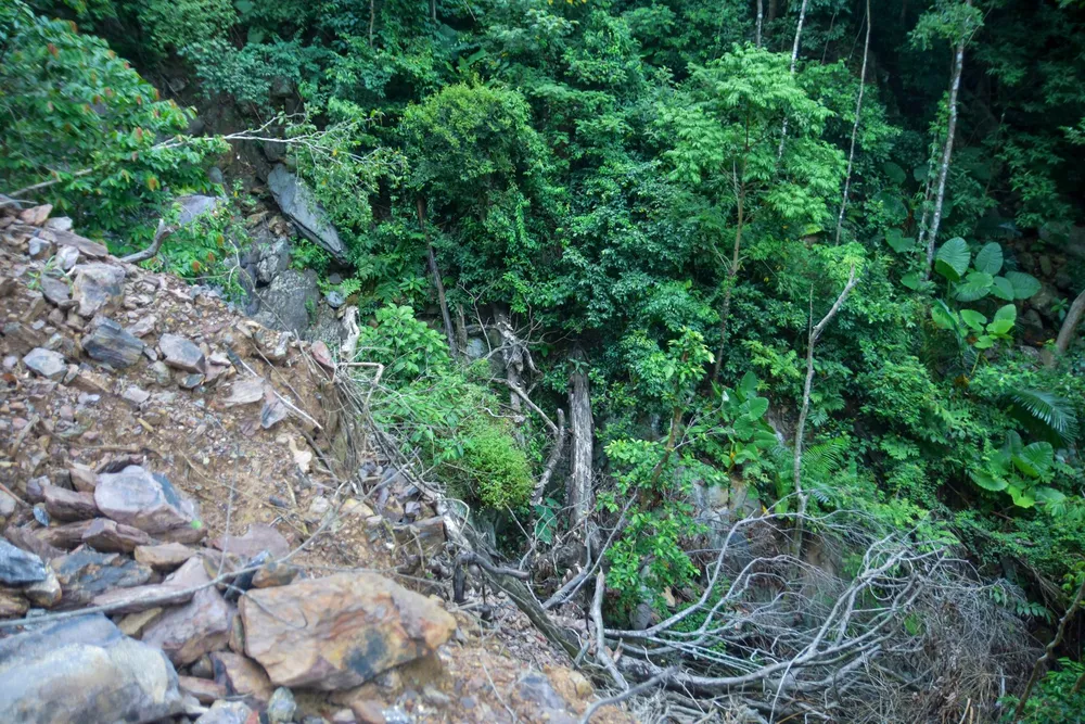 Hơn 3 ha rừng tự nhiên không được khai báo, cập nhập. Ảnh: NGUYỄN DO