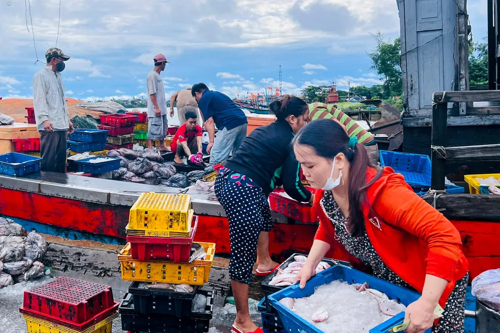 Nhiều thương lái chờ sẵn ở cảng cá đợi tàu thuyền vào bờ để thu mua. Nhiều thương lái chờ sẵn ở cảng cá đợi tàu thuyền vào bờ để thu mua.