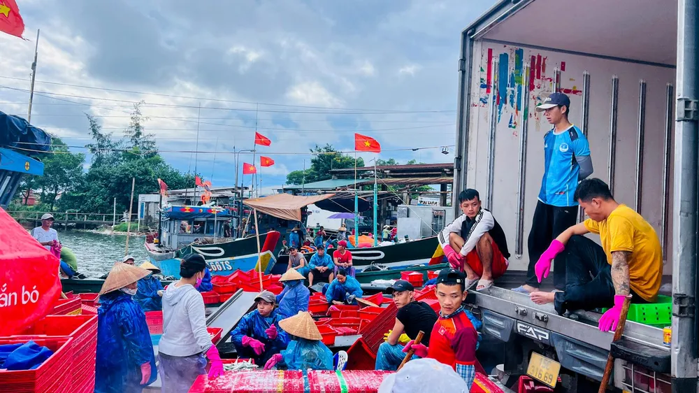 Cảng cá cũng tập nập những người mua bán lẻ. Cảng cá cũng tập nập những người mua bán lẻ.