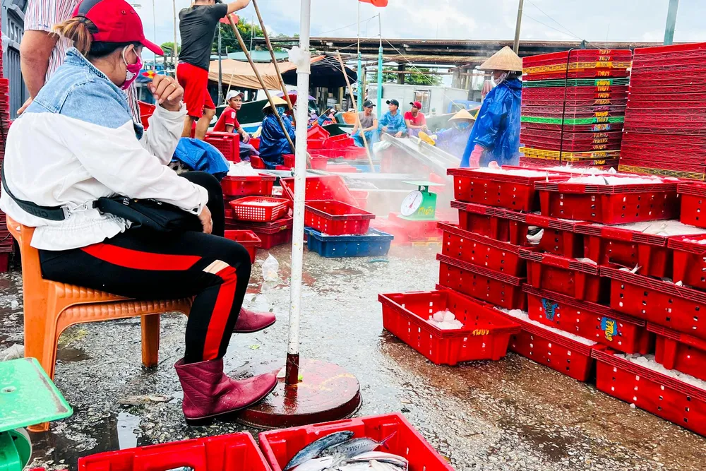 Đến trưa hôm nay, toàn tỉnh còn 17 phương tiện và 156 lao động hoạt động thuỷ sản trên biển (dự kiến sáng ngày 26/9 sẽ vào bờ). Đến trưa hôm nay, toàn tỉnh còn 17 phương tiện và 156 lao động hoạt động thuỷ sản trên biển (dự kiến sáng ngày 26/9 sẽ vào bờ).