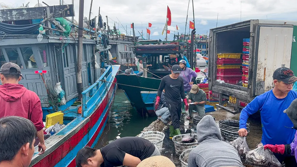 Ngày 25-9, tại cảng cá phường Thuận An (TP Huế) tàu thuyền trở về tấp nập sau một chuyến biển và để tránh bão Noru. Ngày 25-9, tại cảng cá phường Thuận An (TP Huế) tàu thuyền trở về tấp nập sau một chuyến biển và để tránh bão Noru.