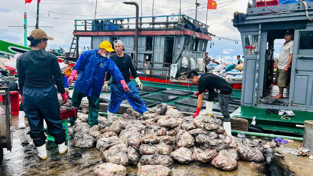 Những chiếc thuyền đầy ắp cá vào bờ sau hơn 10 ngày vươn khơi. Những chiếc thuyền đầy ắp cá vào bờ sau hơn 10 ngày vươn khơi.