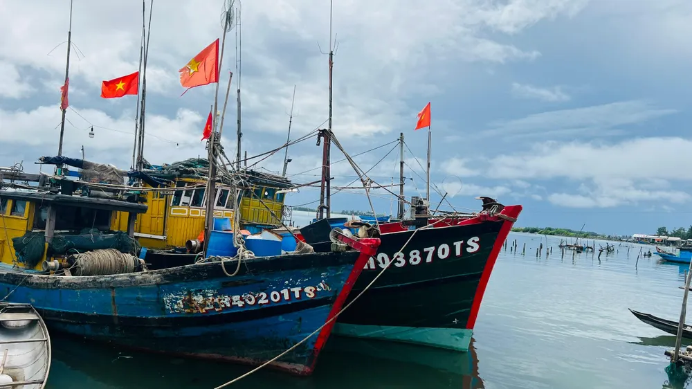 Các tàu cá vào khu neo đậu để tránh bão Noru. Các tàu cá vào khu neo đậu để tránh bão Noru.