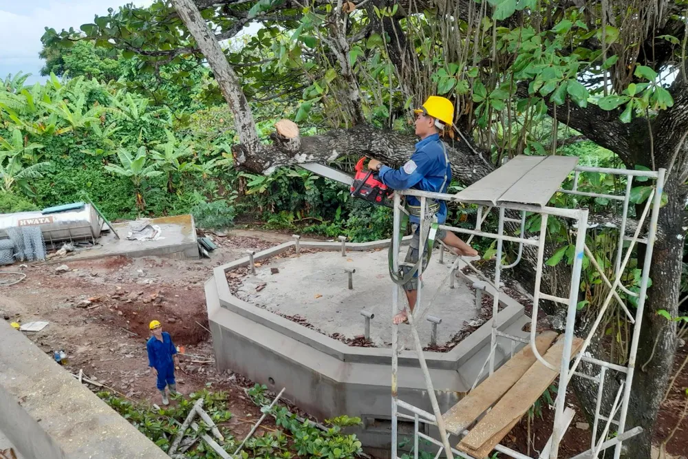 Lực lượng cắt tỉa những cành cây to trước khi bão ảnh hưởng.