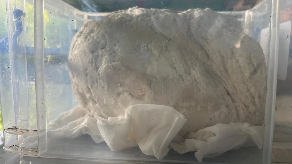 Một vật được người dân nghi là long diên hương quý hiếm.