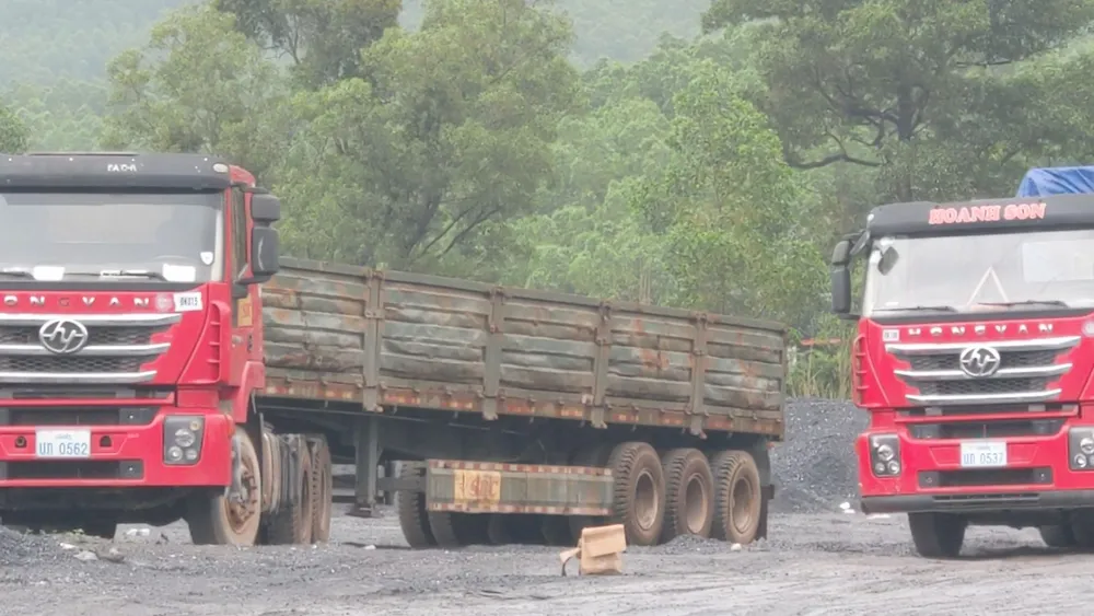 Bãi tập kết than của Tập đoàn Hoành Sơn tại thôn Thượng Lâm, xã Cam Thành.