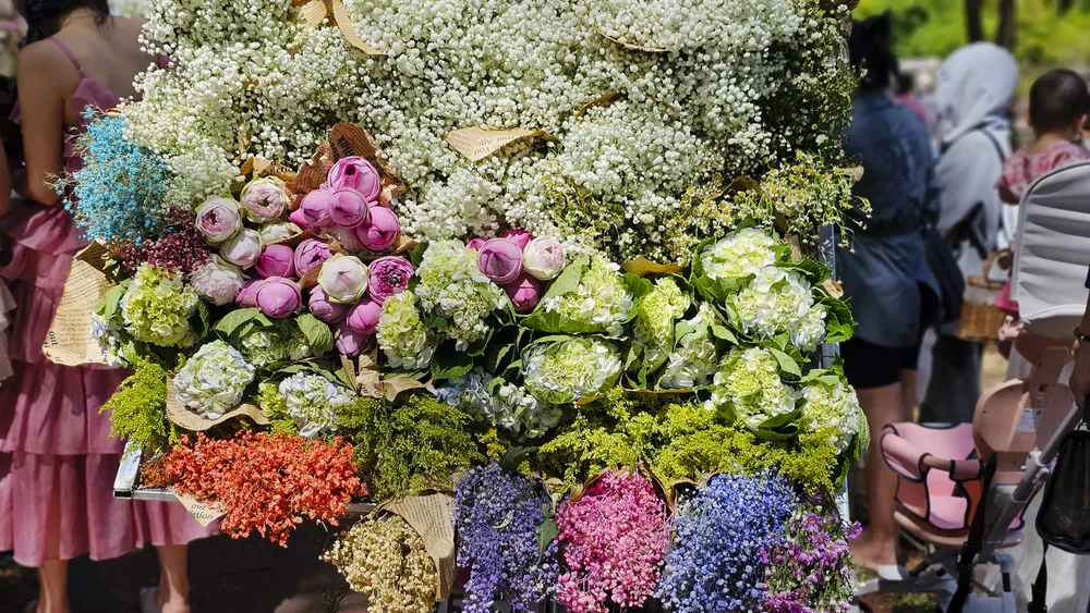 Tại xứ Huế, một số vị trí như Trường Quốc học, công viên hay tuyến đường rợp bóng cây xanh xuất hiện nhiều nhóm bạn trẻ xúng xính bên những chiếc xe hoa.