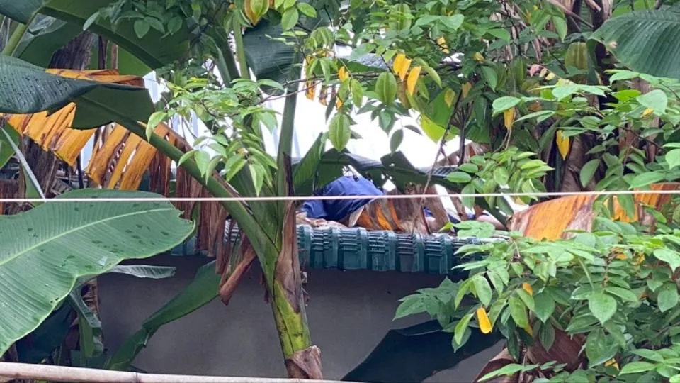 Hiện trường vụ việc. Ảnh: BT Nhân viên viễn thông tử vong nghi giật điện