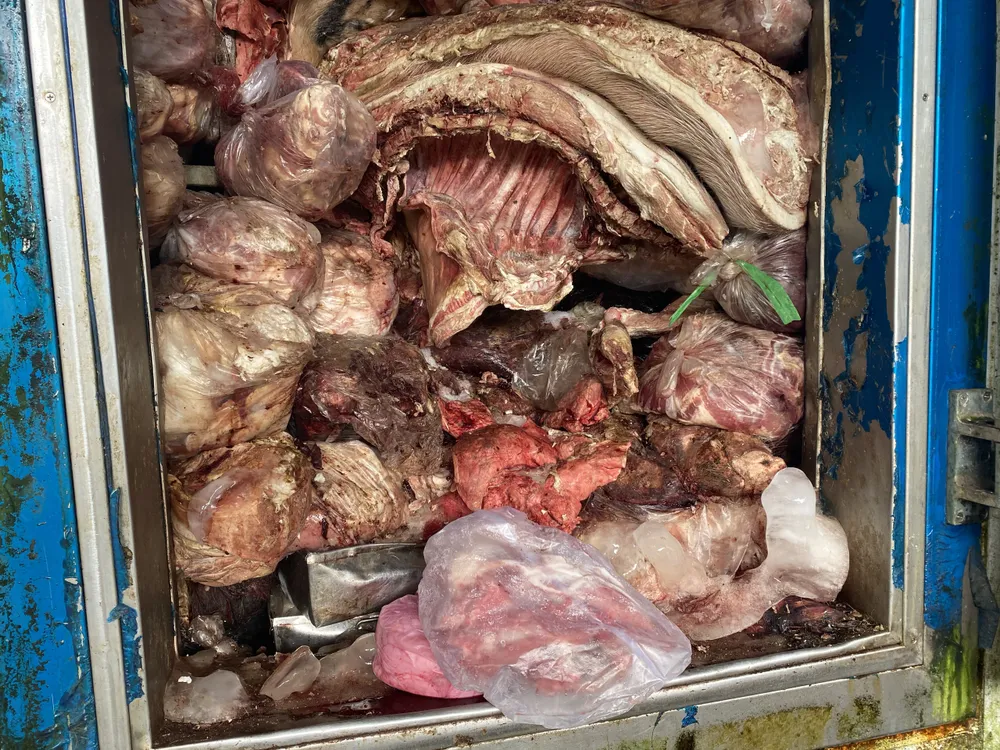 3 tấn thịt và nội tạng heo không rõ nguồn gốc