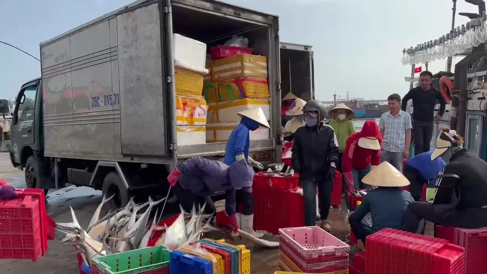 nguoi-dan-phan-khoi-voi-loc-bien-dau-nam (5).jpg