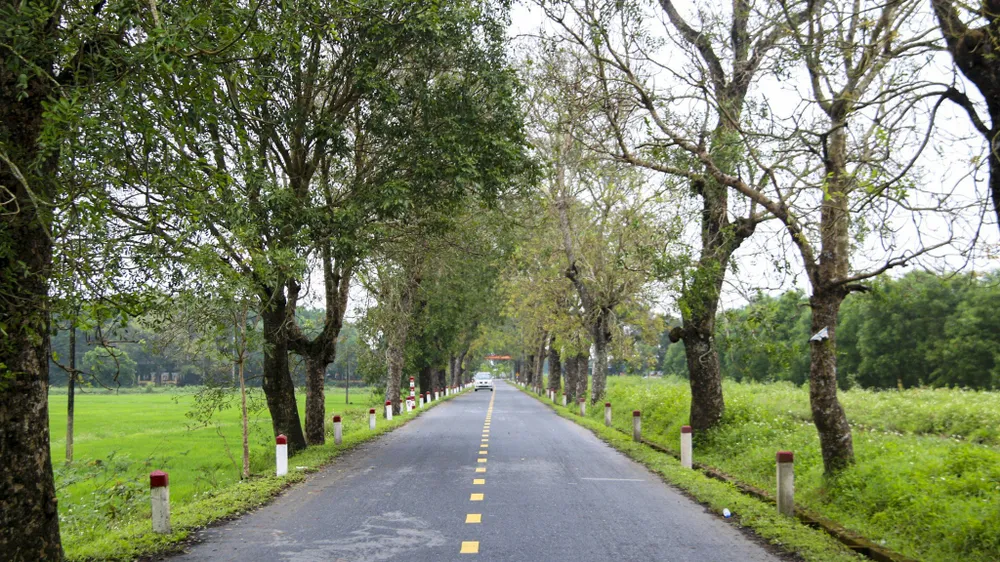 báu vật xanh giúp giải nhiệt ở vùng đất gió Lào