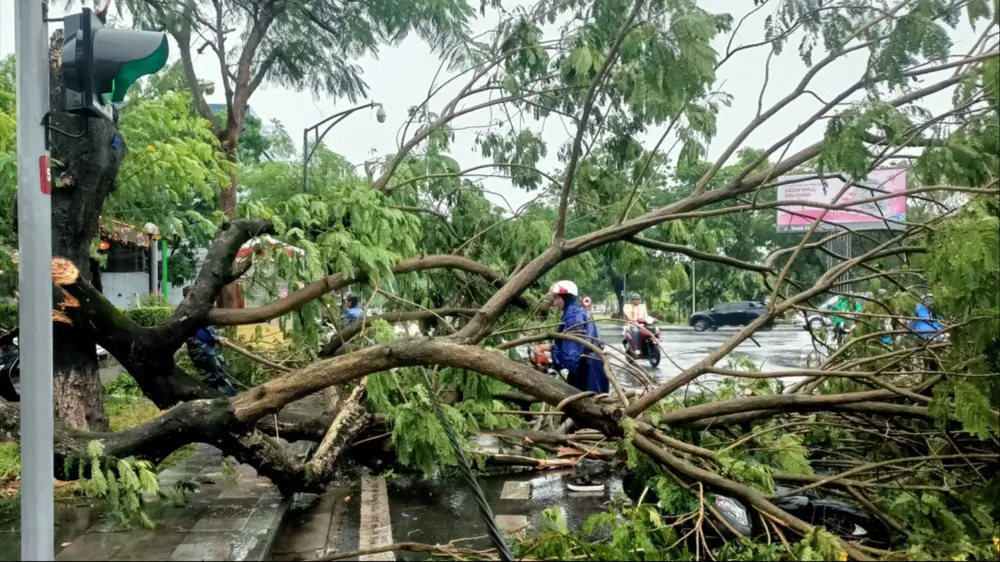 Cây xanh đổ gãy sau trận dông lốc