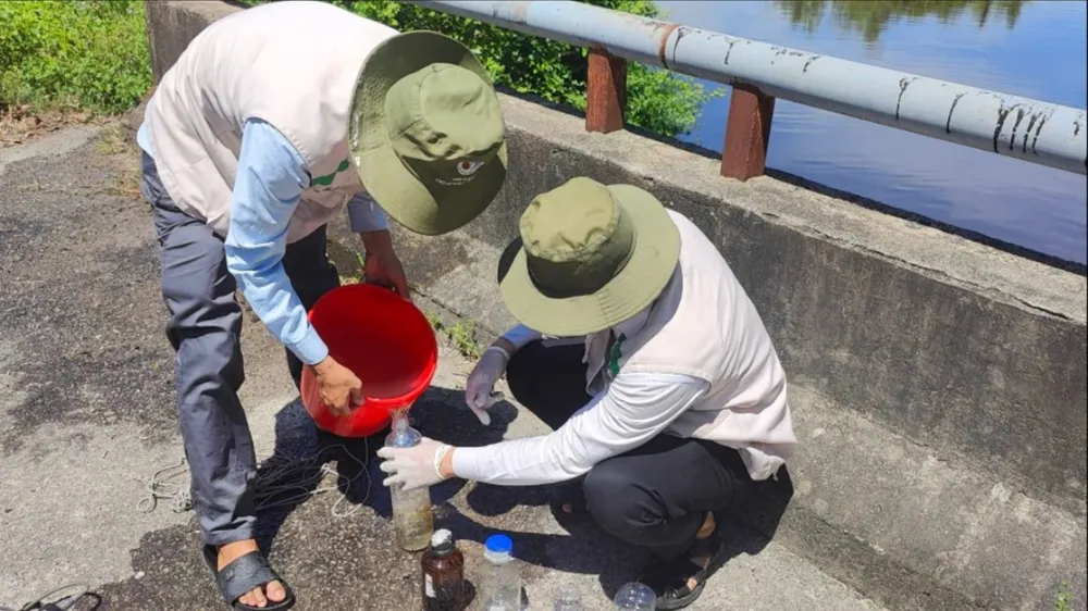 Cá chết bất thường