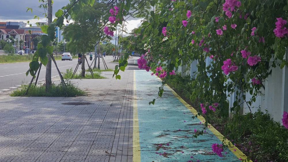 Việc sơn vỉa hè dành cho xe đạp thuộc tiêu chí của Dự án đô thị xanh đã được đặt ra ngay từ đầu. Ảnh: ND thanh-pho-dau-tien-o-viet-nam-co-via-he-danh-cho-xe-dap (1).jpg