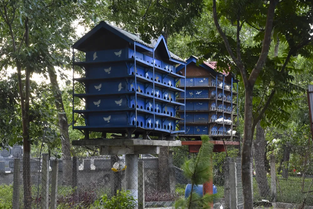 hung-ngay-thang-7-o-nghia-trang-quoc-gia-duong-9 (20).jpg