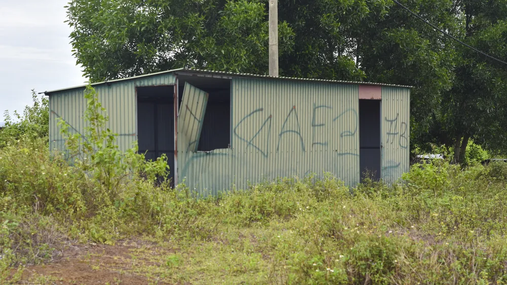 cay-co-phu-kin-du-an-khu-do-thi-sinh-thai-bien-gan-500-ti (1).jpg