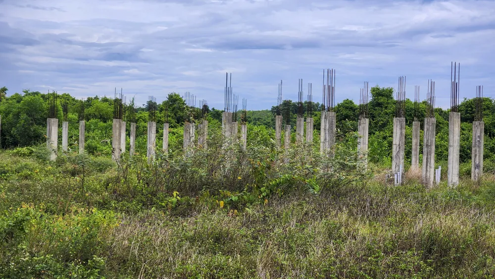 cay-co-phu-kin-du-an-khu-do-thi-sinh-thai-bien-gan-500-ti (13).jpg