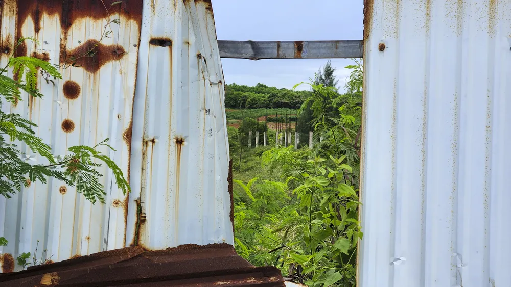 cay-co-phu-kin-du-an-khu-do-thi-sinh-thai-bien-gan-500-ti (16).jpg