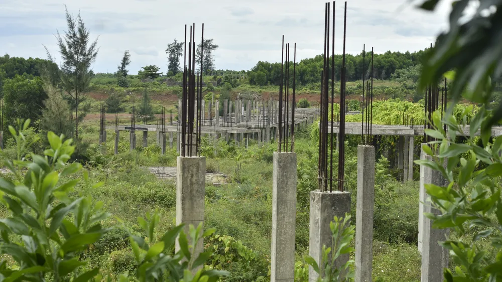 cay-co-phu-kin-du-an-khu-do-thi-sinh-thai-bien-gan-500-ti (3).jpg