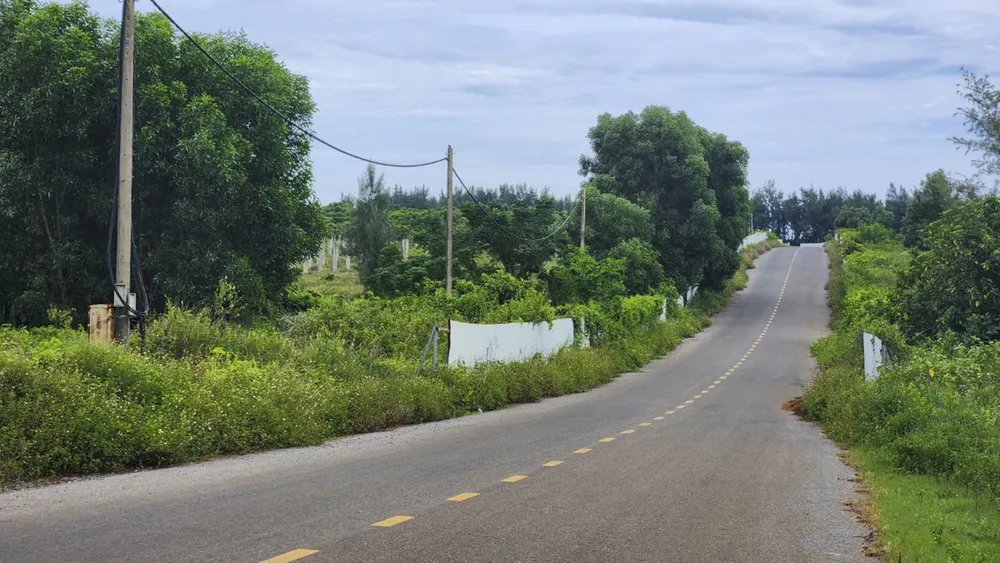cay-co-phu-kin-du-an-khu-do-thi-sinh-thai-bien-gan-500-ti (9).jpg