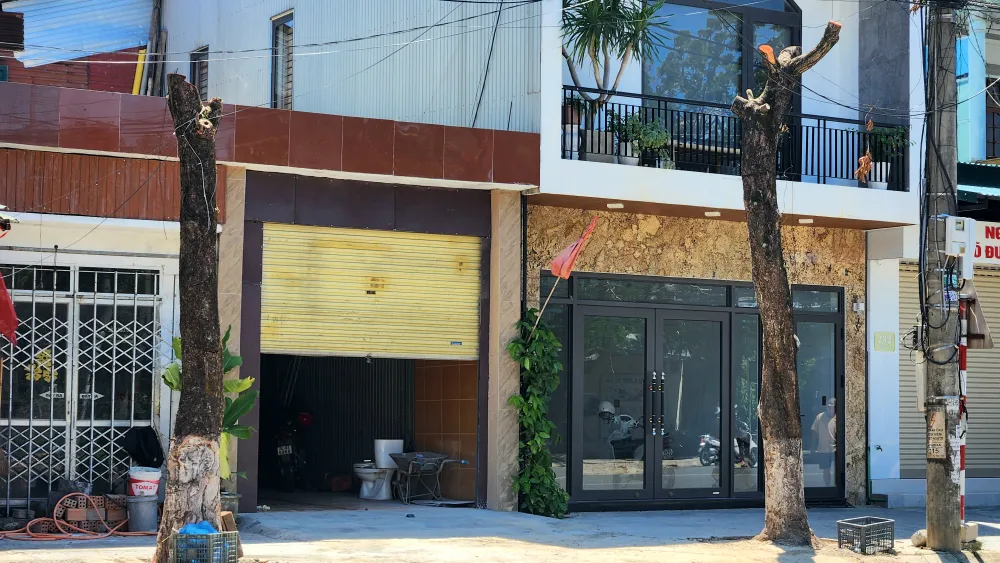 vi-sao-hang-loat-cay-xanh-o-tp-dong-ha-bi-don-ha (13).jpg