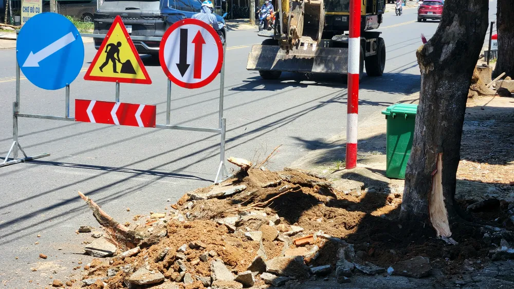 vi-sao-hang-loat-cay-xanh-o-tp-dong-ha-bi-don-ha (8).jpg