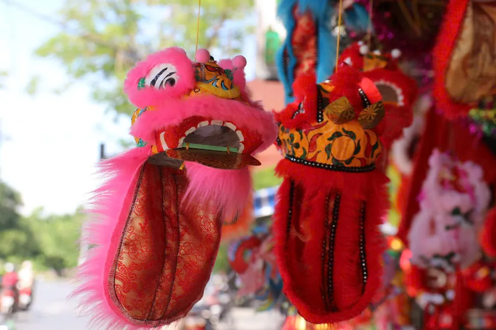 tham-pho-dau-lan-o-hue-truoc-tet-trung-thu (22).jpg