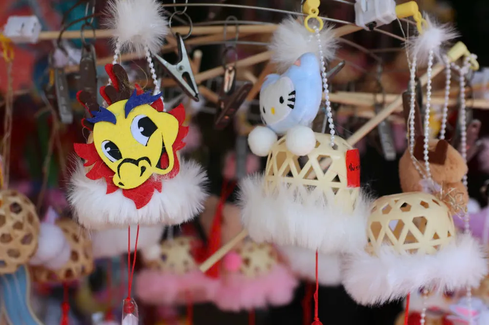 tham-pho-dau-lan-o-hue-truoc-tet-trung-thu (30).jpg