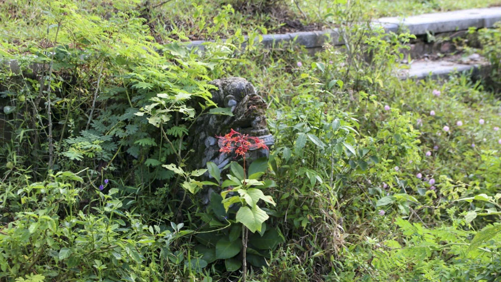 can-canh-dien-tho-me-vua-gia-long-truoc-khi-duoc-trung-tu (10).jpg