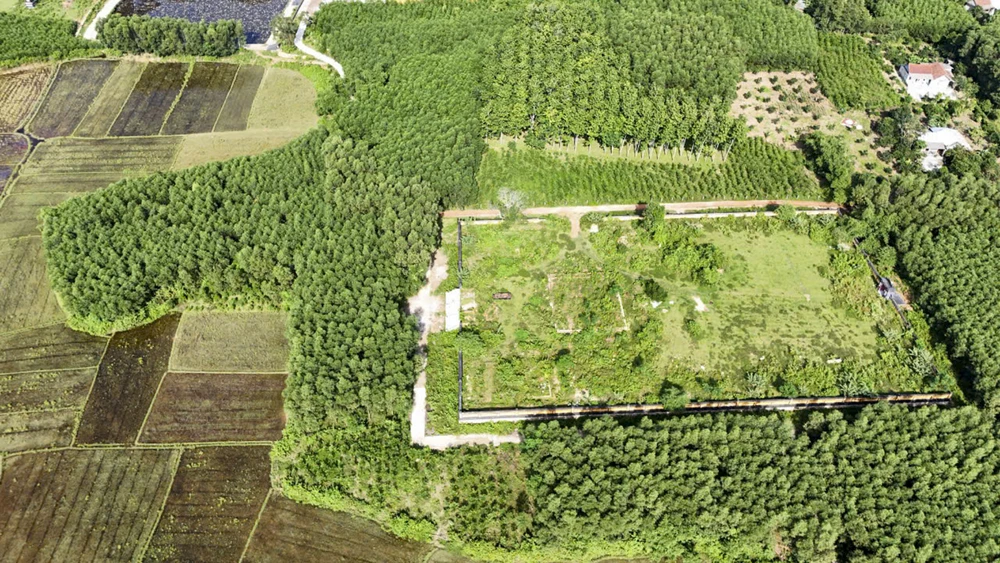 Nơi thờ tự mẹ vua gia long