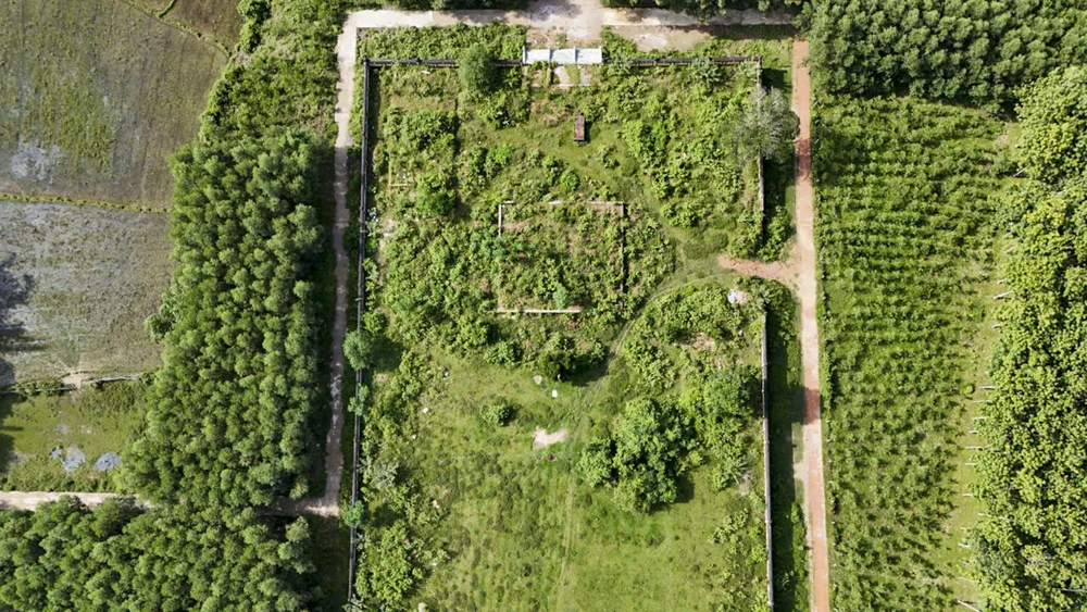 can-canh-dien-tho-me-vua-gia-long-truoc-khi-duoc-trung-tu (5).jpg