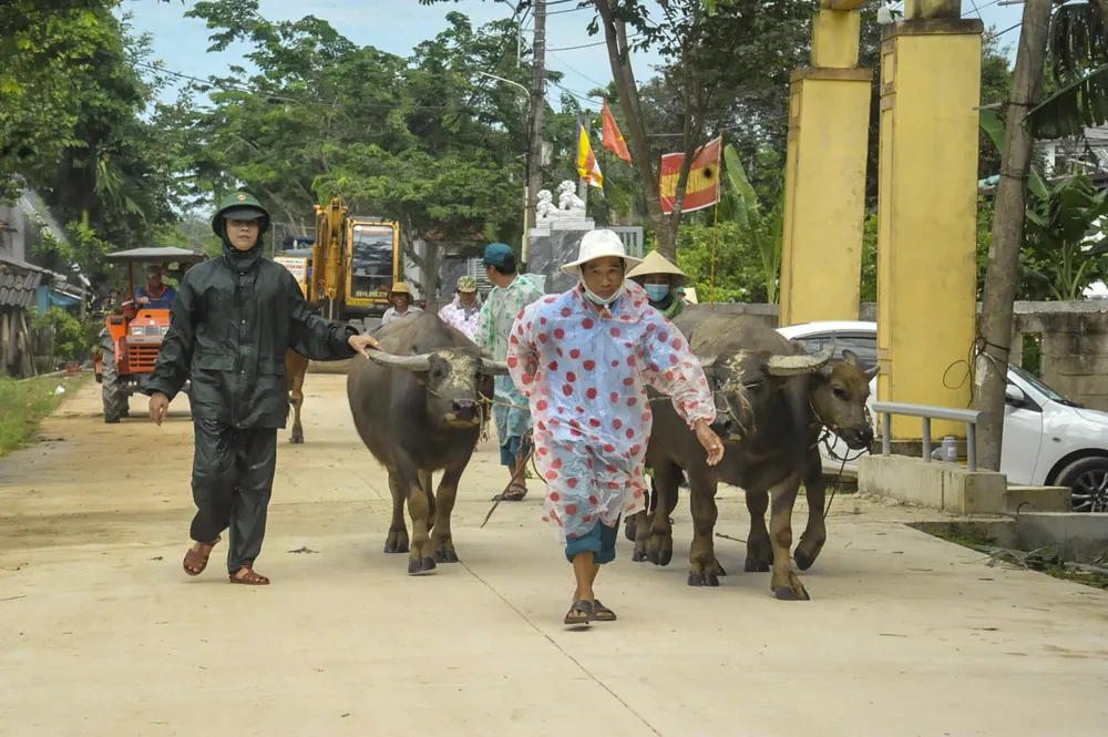 hon-800-quan-dan-dien-tap-phong-chong-bao-lu (22).jpg